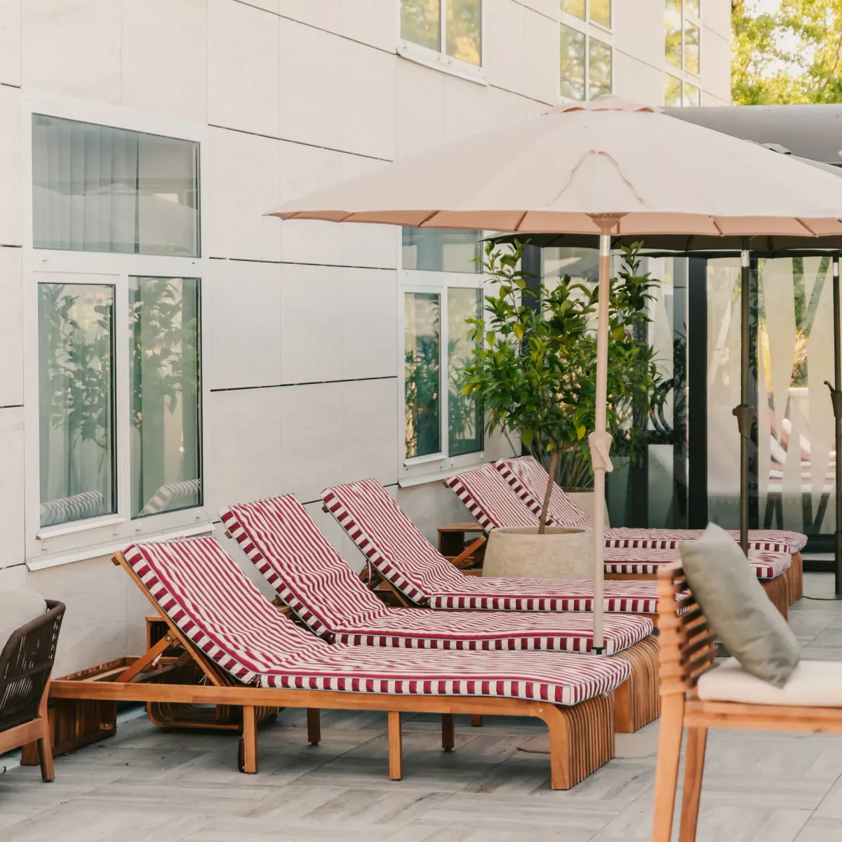 Terrasse avec des chaises longues en bois à rayures rouges et blanches sous des parasols, entourée de plantes vertes et de fenêtres en verre