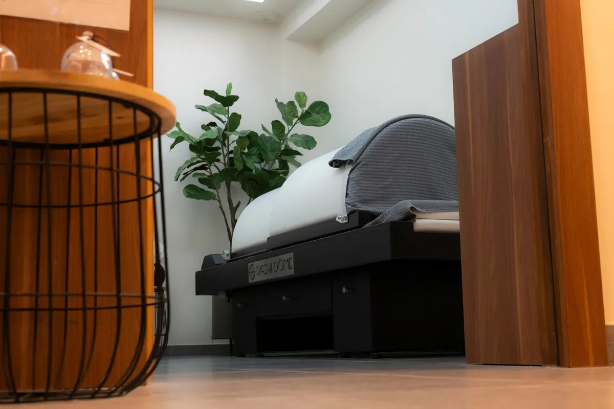 Eine weiße Katze liegt auf einem schwarzen Möbelstück neben einer grünen Pflanze in einem Raum mit hellen Wänden und einem Holzboden.