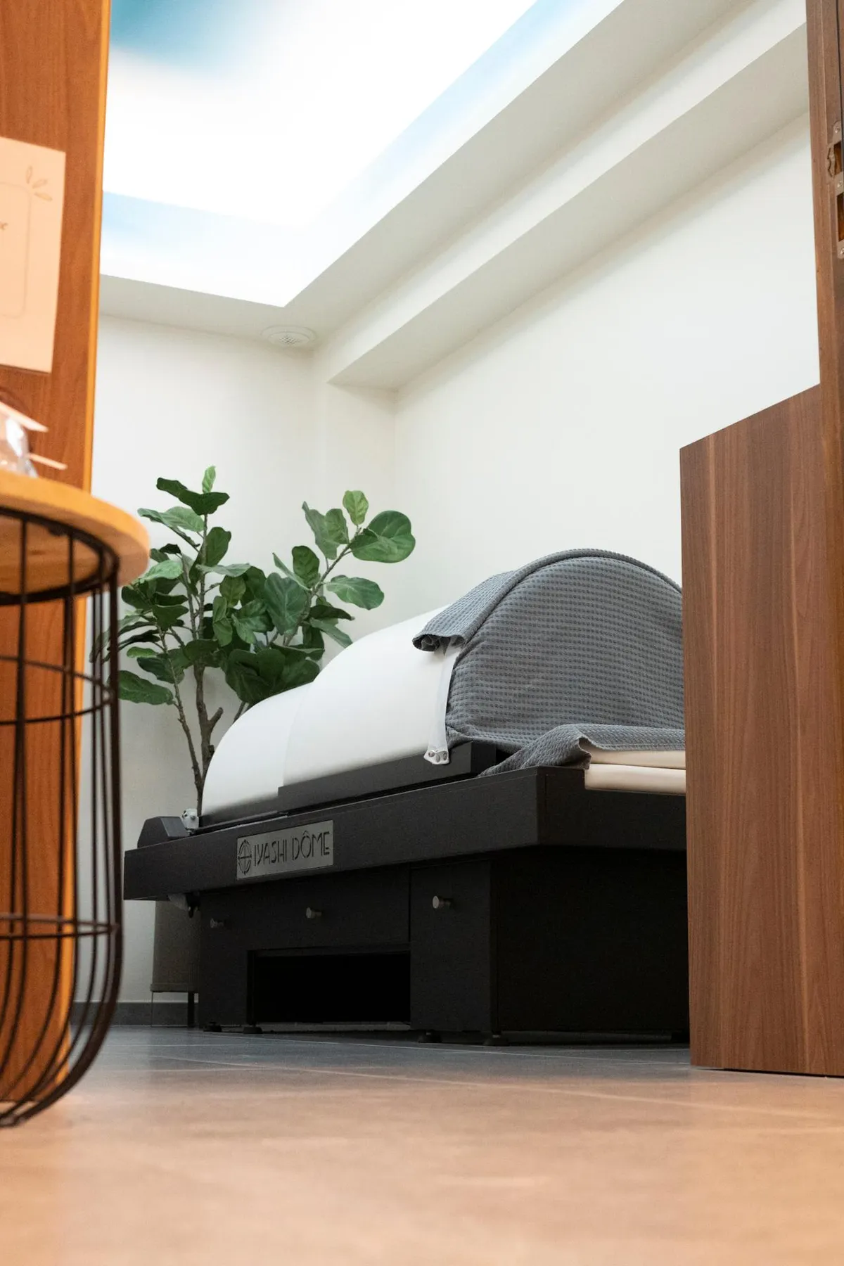 A massage bed with a green plant next to it in a room with white walls and light wooden flooring