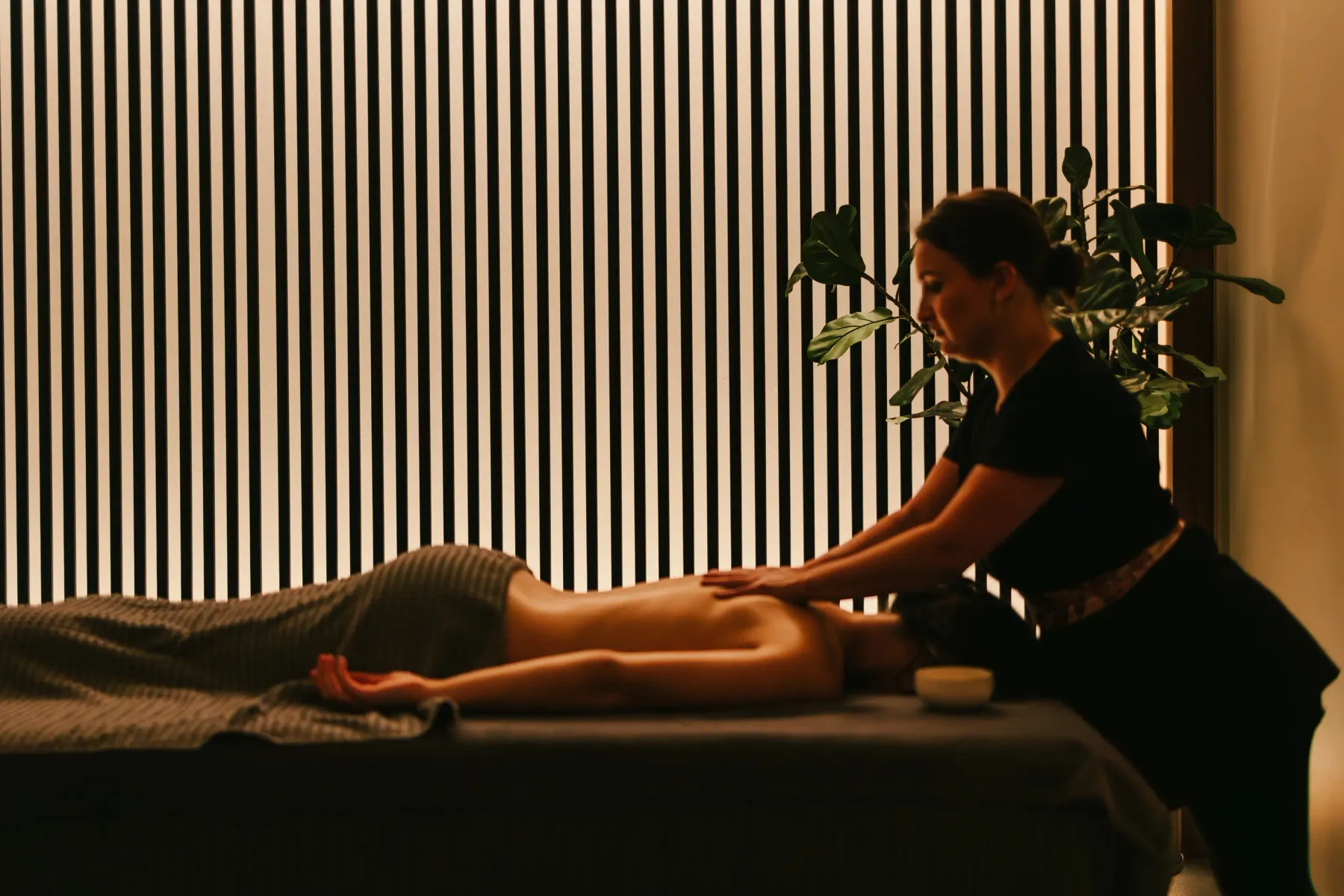 A person receives a massage on a table, another applies movements to their back, with a green plant nearby and vertical blinds in the background.